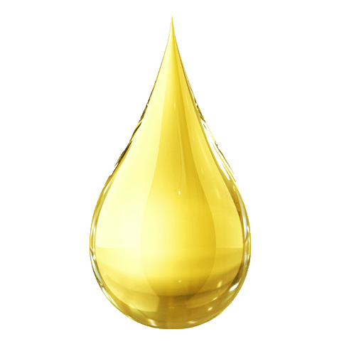 Home Eolio